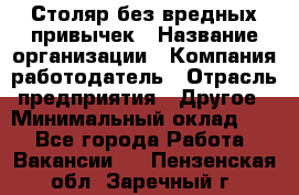 Столяр без вредных привычек › Название организации ­ Компания-работодатель › Отрасль предприятия ­ Другое › Минимальный оклад ­ 1 - Все города Работа » Вакансии   . Пензенская обл.,Заречный г.